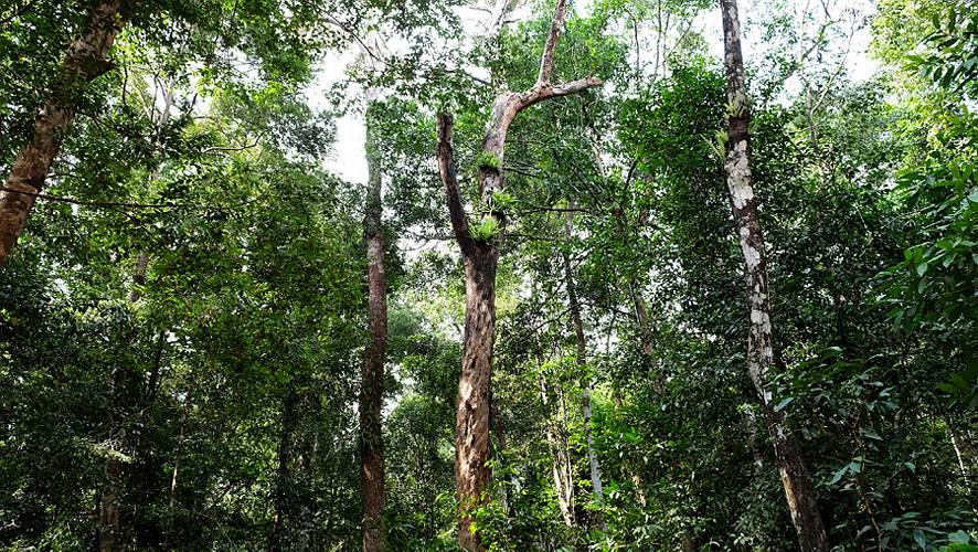 13-phu quoc_49